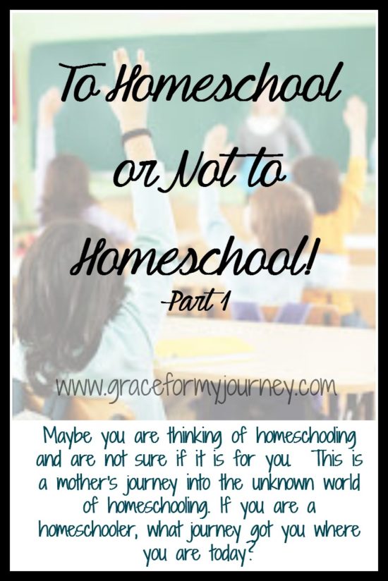 To Homeschool or Not to Homeschool! | part 1 | homeschool | children | school | bullying | parenting |